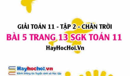 Bài 5 trang 13 Toán 11 tập 2 Chân trời sáng tạo